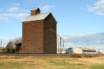 wooden grain plant